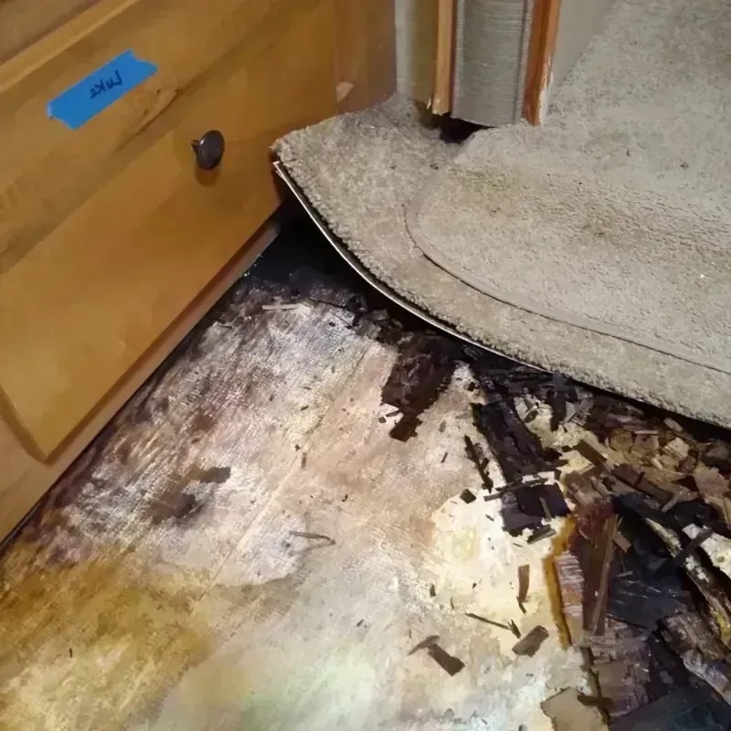 Best Wood Floor Water Damage Service in Paloma Creek, TX